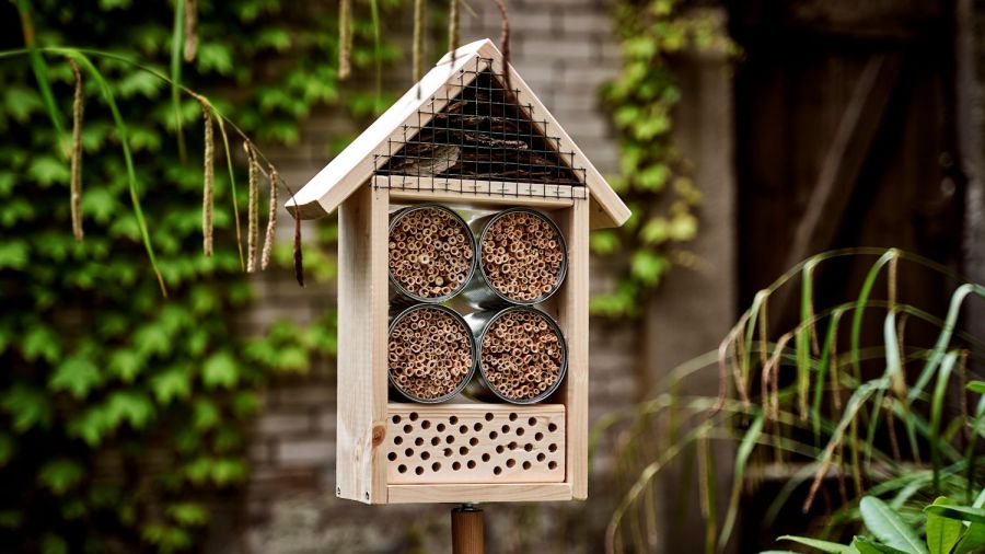 Am besten Insektenhotel bauen Standort