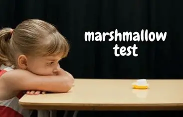 Was ist der Marshmallow-Test: Die ultimative Geschäftsstrategie für Erfolg durch Selbstkontrolle